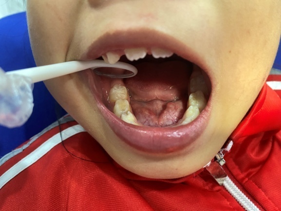 image006.jpg image006.jpg