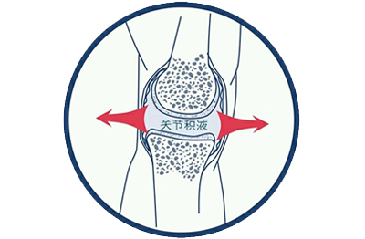 image003.png image003.png