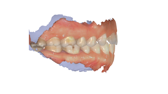 image001.png image001.png