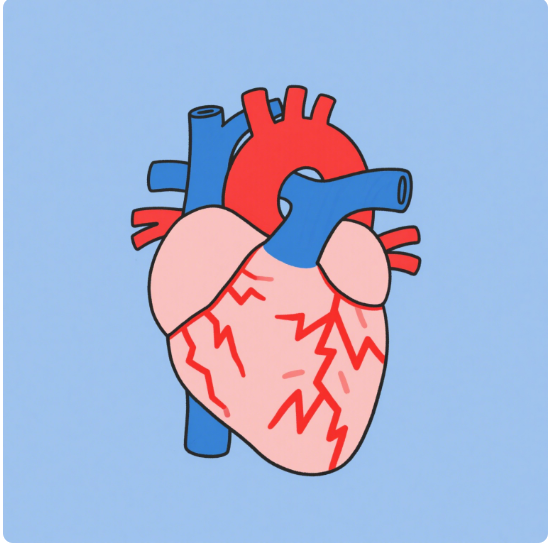 QQ20250527-093544.png QQ20250527-093544.png