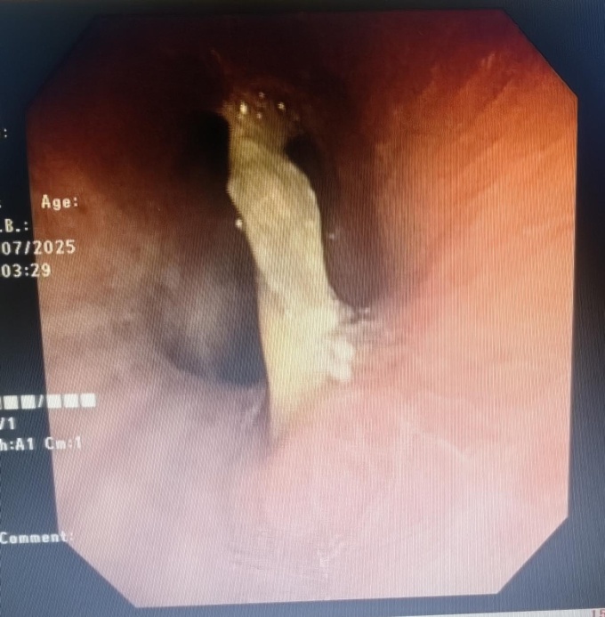 image003.jpg image003.jpg