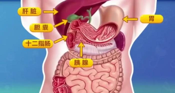 腹痛难忍？警惕胆结石悄悄引发急性胰腺炎1 (2).jpg