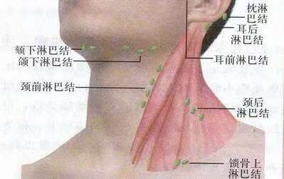 image007.jpg image007.jpg