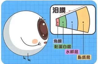 image001.png image001.png