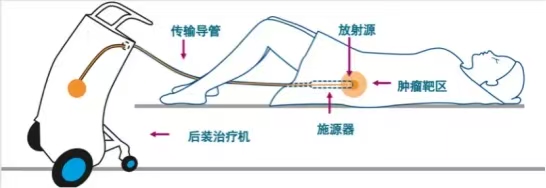 image003.jpg image003.jpg