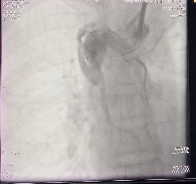 8b1d9d21b285e24f00752d174470719b.jpg 8b1d9d21b285e24f00752d174470719b.jpg