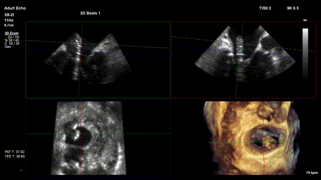 image001.gif image001.gif