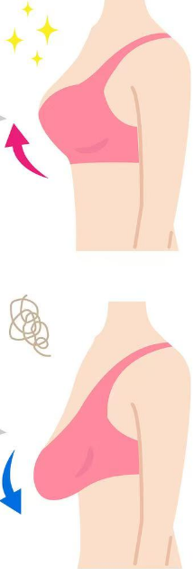 image005.png image005.png