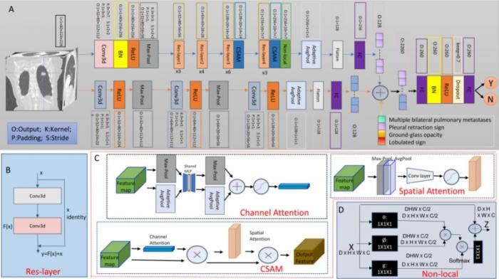 湘南学院附属医院谢辉团队发表肺癌诊疗创新成果